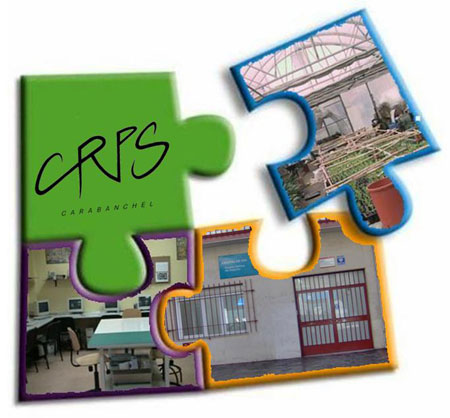 Centro-Rehabilitación-Psicosocial-CRPS