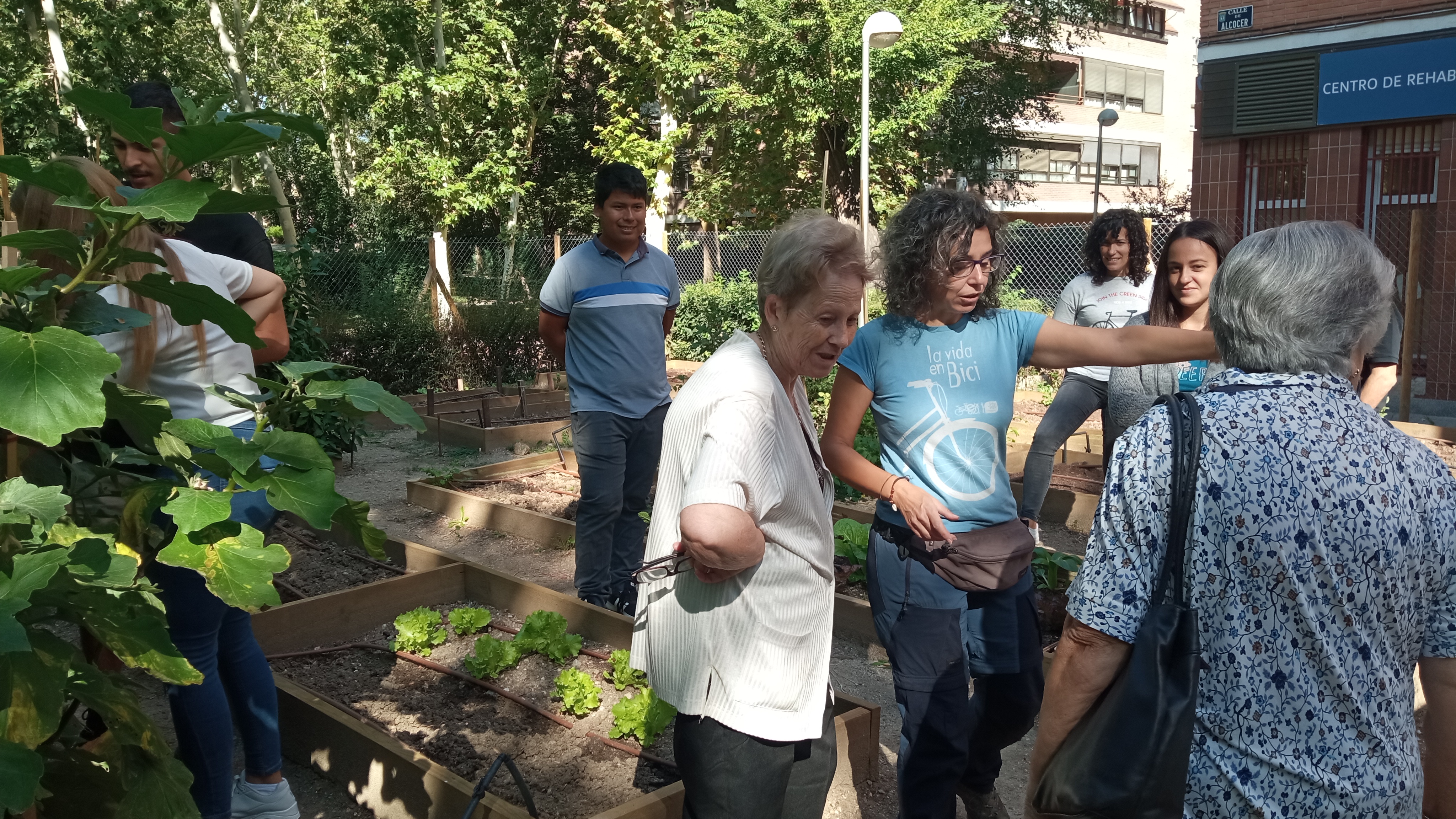 Día Internacional de la Salud Mental | Fundación El Buen Samaritano