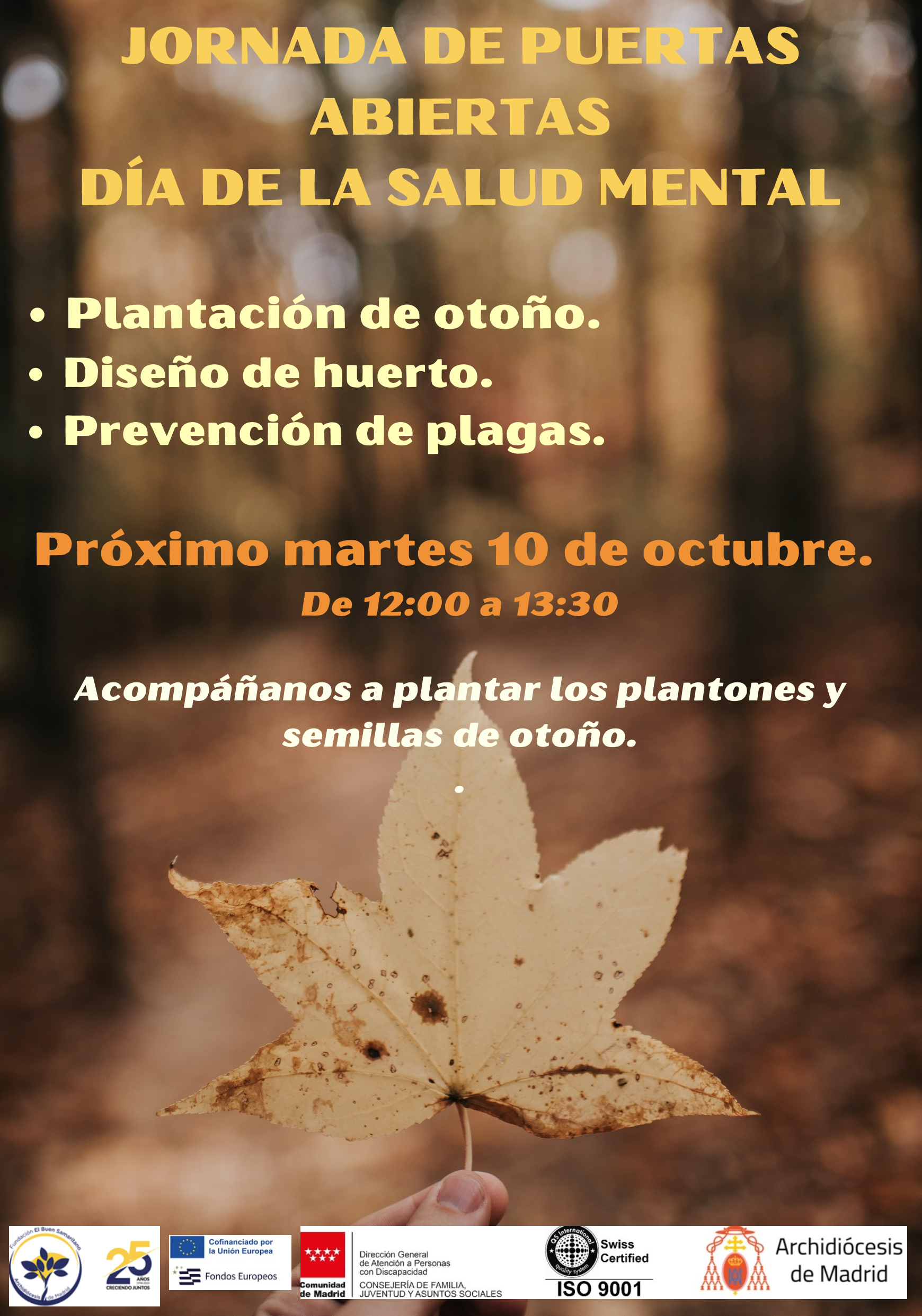 Día Internacional de la Salud Mental | Fundación El Buen Samaritano