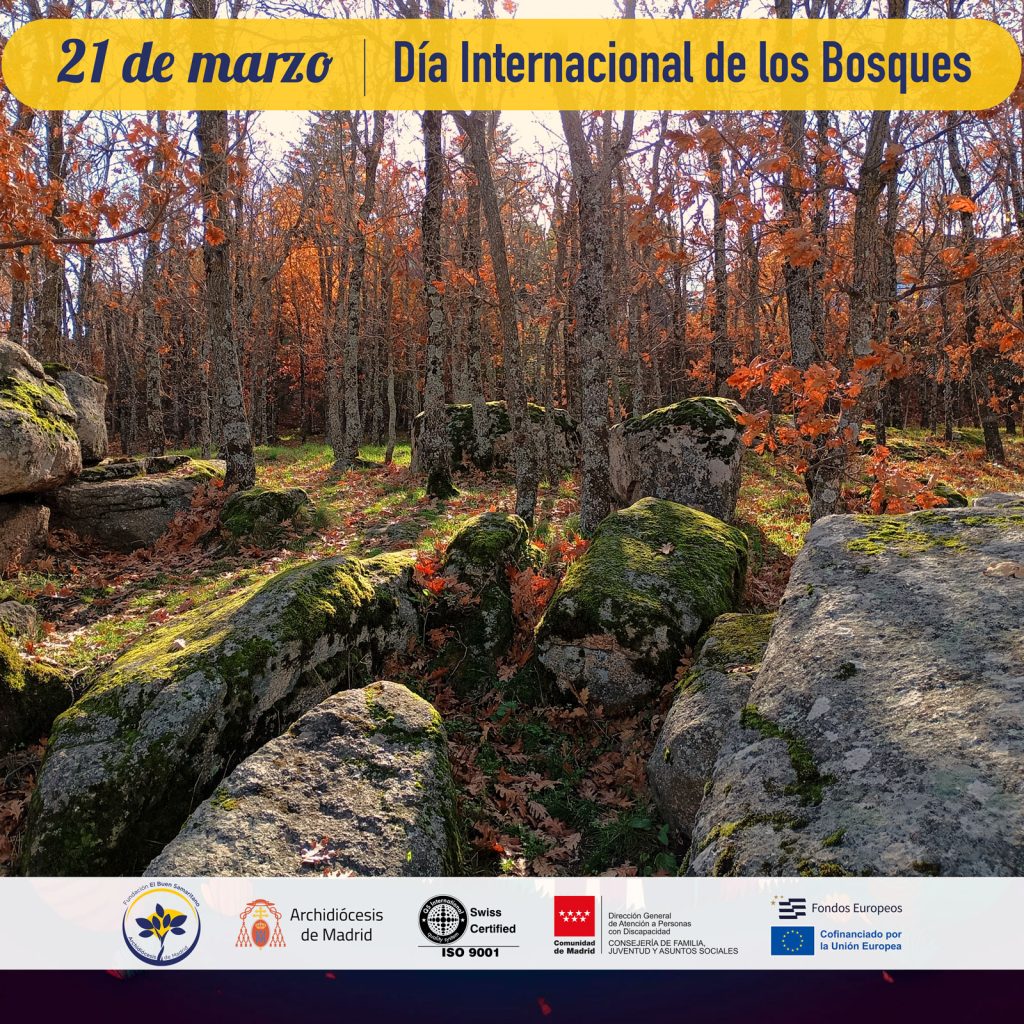 dia-internacional-bosques-fundacion-buen-samaritano-2