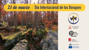 Lee más sobre el artículo 21 de Marzo | Día Internacional de los Bosques