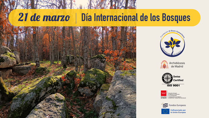 En este momento estás viendo 21 de Marzo | Día Internacional de los Bosques
