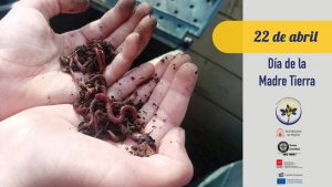 Lee más sobre el artículo 22 de Abril | Día de la Madre Tierra, ¿Tienes un minuto?