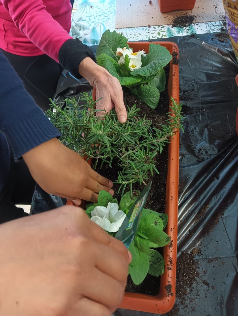 cuidado-plantas-crps-usera-fundacion-buen-samaritano-3