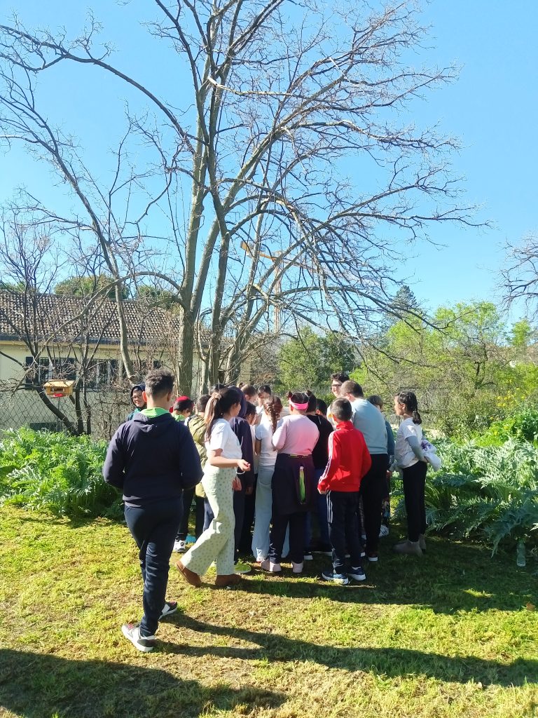 lombrices-maestras-fundacion-buen-samaritano-2