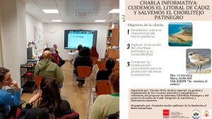Lee más sobre el artículo Videoconferencia. «Cuidemos el Litoral de Cádiz y Salvemos al Chorlitejo Patinegro»