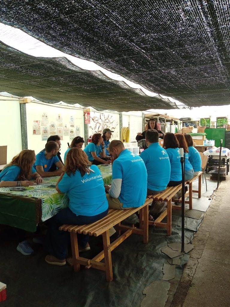 voluntariado-caixabank-fundacion-buen-samaritano-2