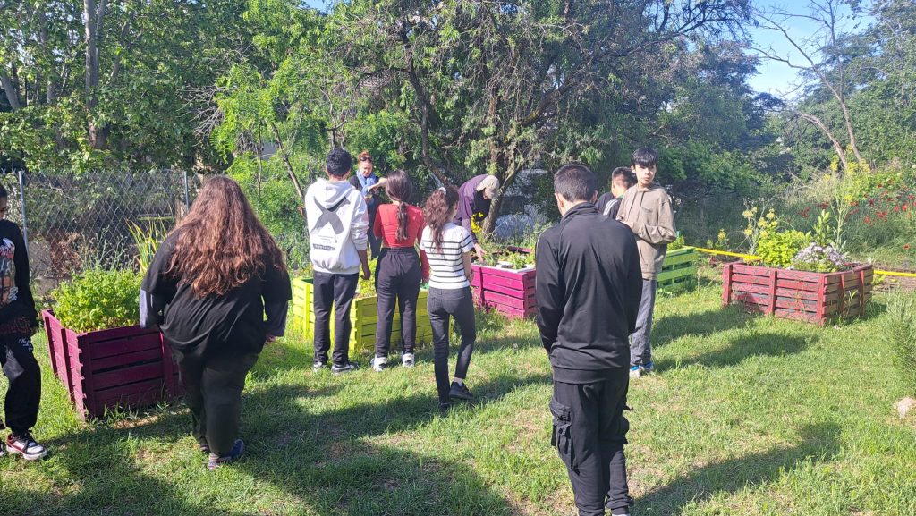 ciempies-fundacion-buen-samaritano-3