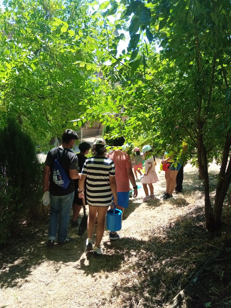 bosque-6-92-años-fundacion-buen-samaritano-5