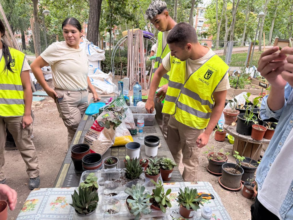 talleres-jardineria-crl-villaverde-fundacion-buen-samaritano-4