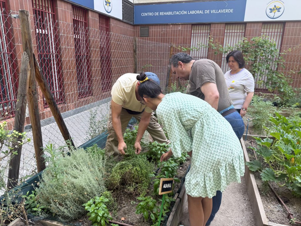 talleres-jardineria-crl-villaverde-fundacion-buen-samaritano-6