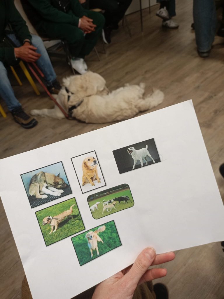 animal-nature-fundacion-buen-samaritano-2