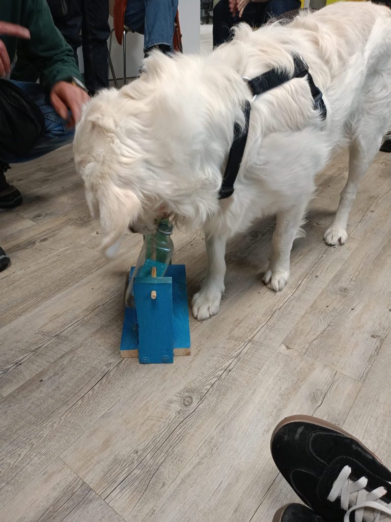 animal-nature-fundacion-buen-samaritano-3