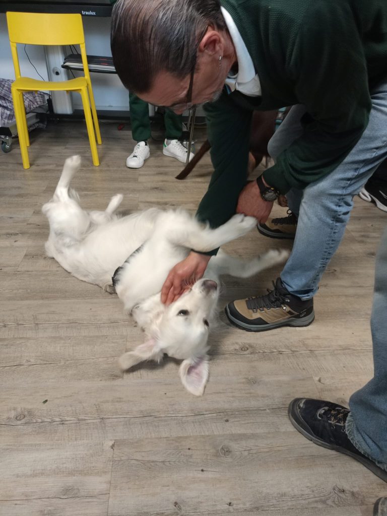 animal-nature-fundacion-buen-samaritano-6