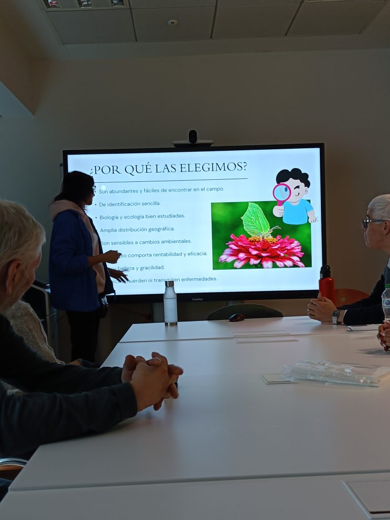 mariposas-barrio-fundacion-buen-samaritano-4