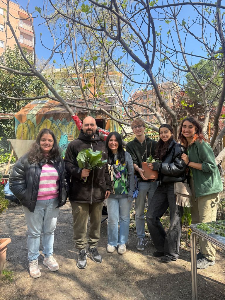 plantas-medicinales-fundacion-buen-samaritano-5