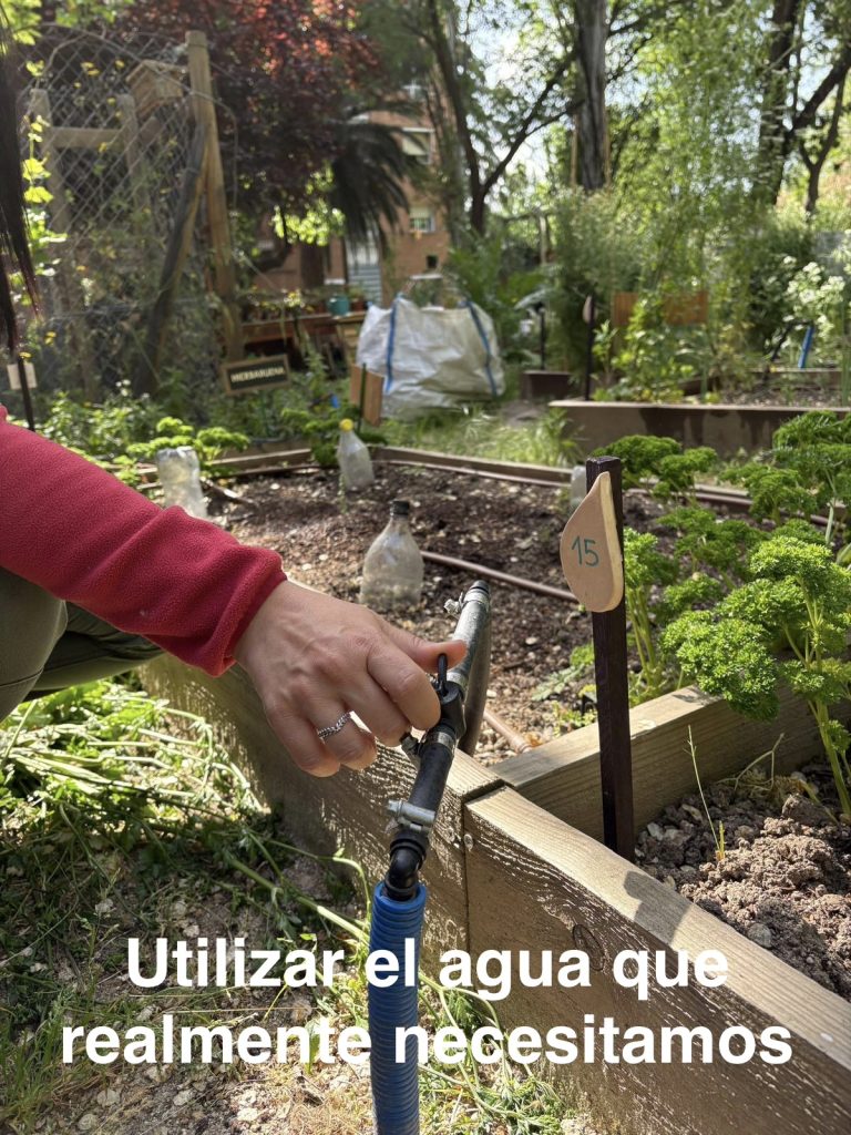 dia-madre-tierra-fundacion-buen-samaritano-festivos-3