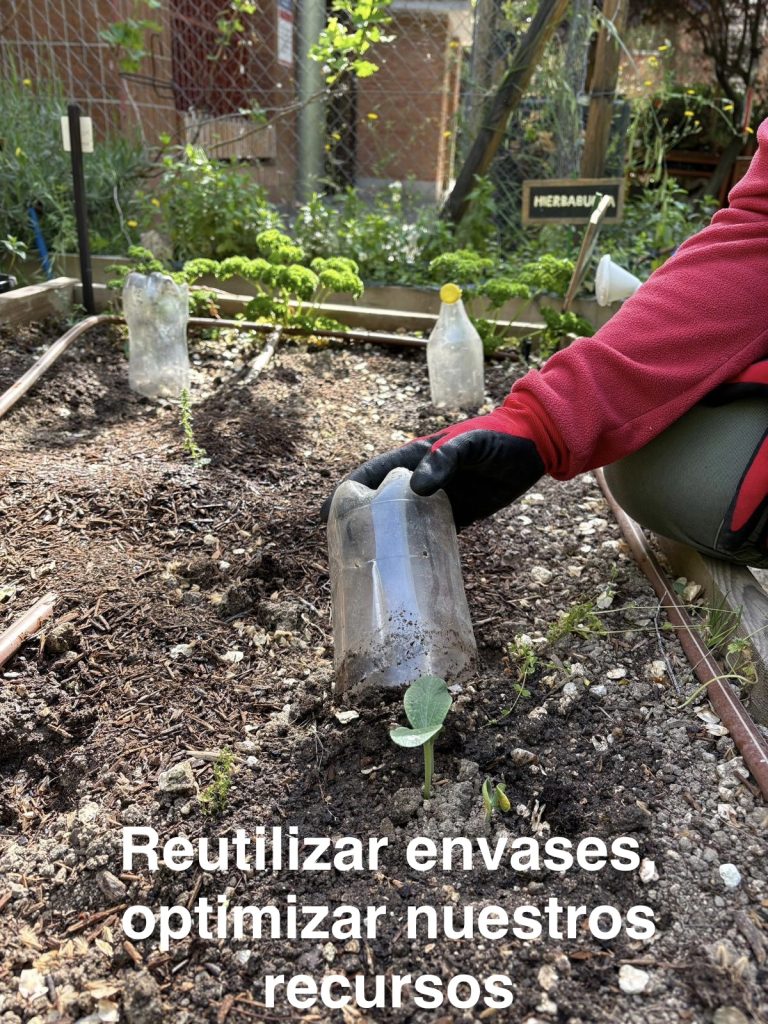 dia-madre-tierra-fundacion-buen-samaritano-festivos-4