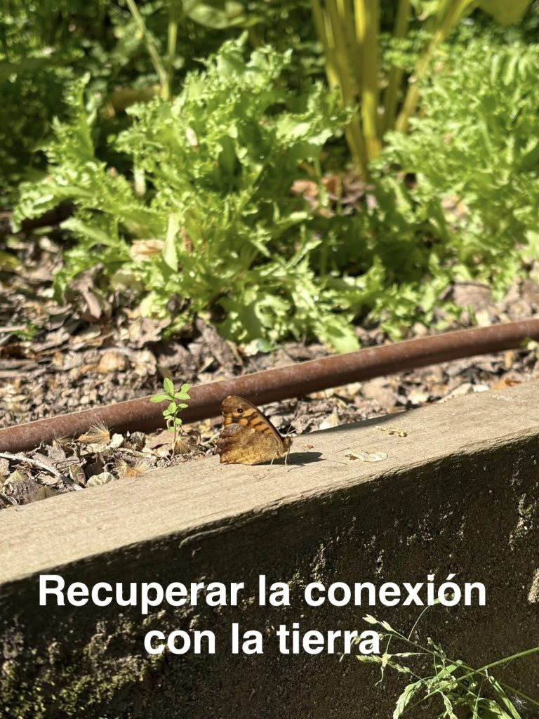 dia-madre-tierra-fundacion-buen-samaritano-festivos-5