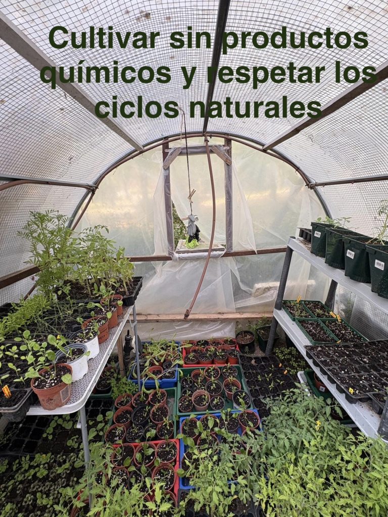 dia-madre-tierra-fundacion-buen-samaritano-festivos-7