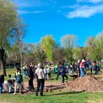 Encuentro comunitario reúne a entidades y vecinos en una gran jornada de plantación en el Parque Dehesa de Boyal