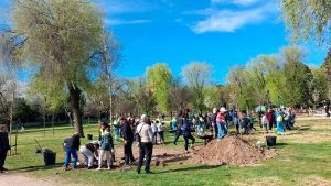 Lee más sobre el artículo Encuentro comunitario reúne a entidades y vecinos en una gran jornada de plantación en el Parque Dehesa de Boyal