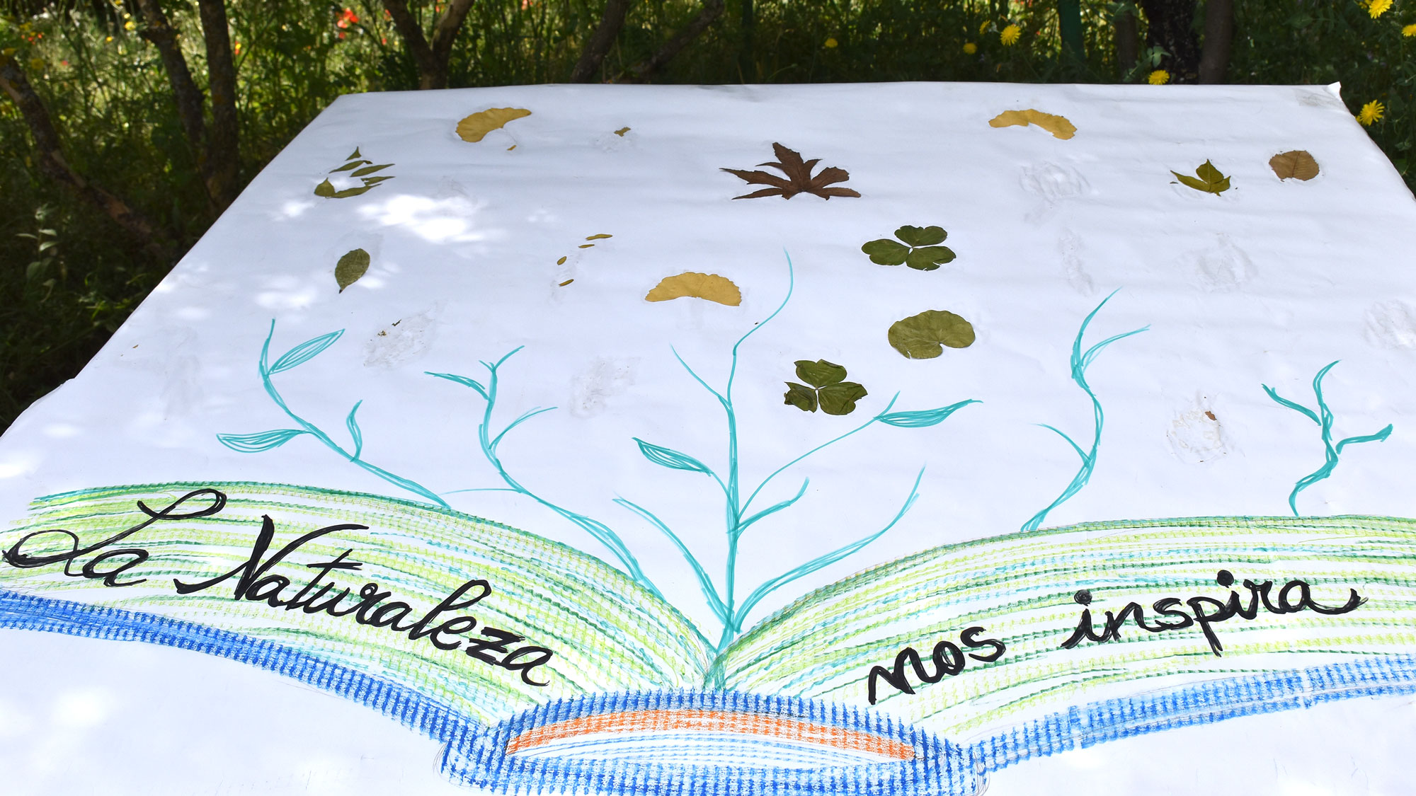 En este momento estás viendo Liternatura 2026, la Naturaleza nos inspira