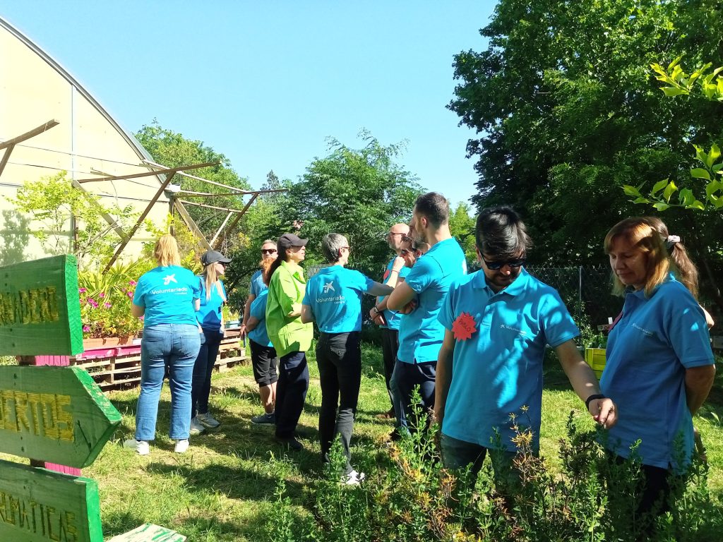 voluntarios-caixabank-fundacion-buen-samaritano-5