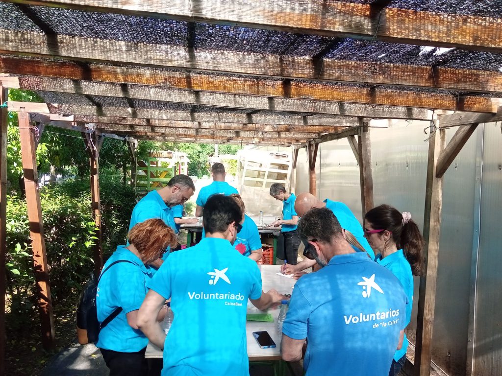voluntarios-caixabank-fundacion-buen-samaritano-6