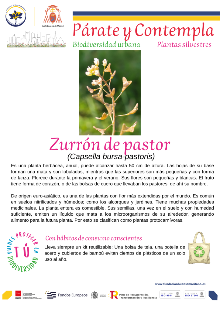 Párate y contempla. Zurrón de pastor